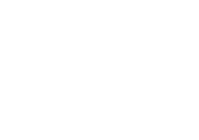 SolevaSocksdev